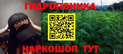 дмт Пенза