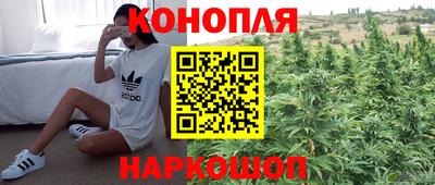 дмт Пенза