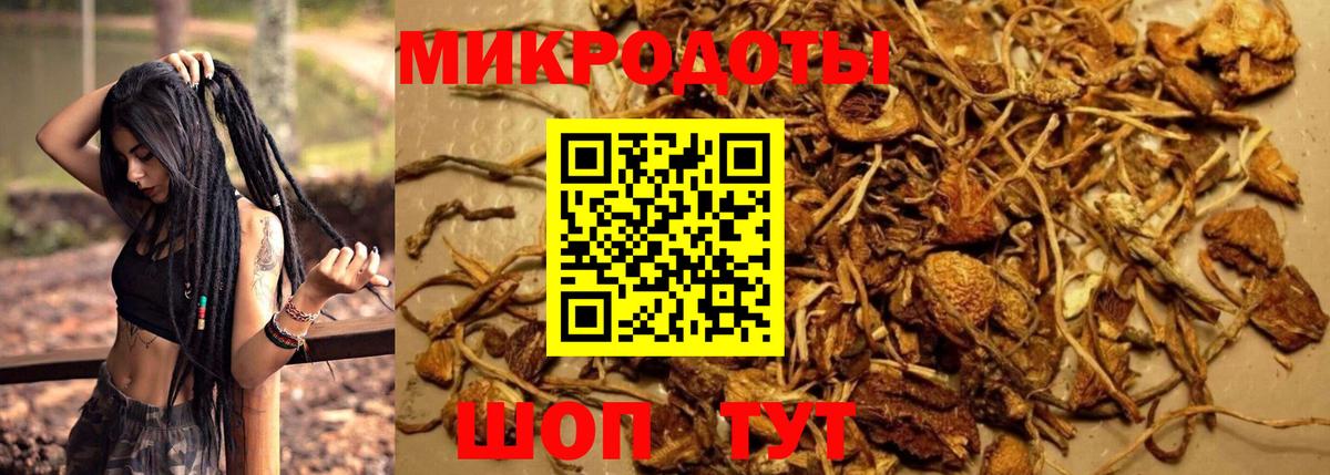 Галлюциногенные грибы Cubensis Ставрополь